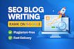 write SEO optimized blog articles for small business website