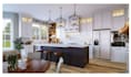 create a functional kitchen design with 3d render