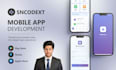 build mobile app flutter apps for android ios mobile