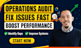audit your business operations and provide an action plan