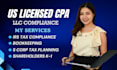 do s corp and llc tax planning and optimization