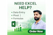 do professional microsoft excel data entry and data cleaning
