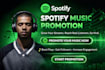 professional spotify music promotion
