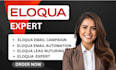 setup eloqua email automation eloqua campaign eloqua lead nurturing