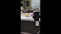be your food videographer in cdmx