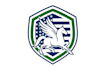 design classic ice hockey jersey logo