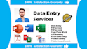 professional data entry and excel copy paste work