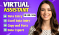 data entry expert web scraping email list building