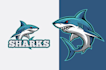 do modern amazing shark logo