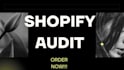 do full shopify audit in your store