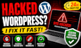 remove malware and viruses from your wordpress website in 24 hours