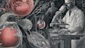 do medical and scientific illustrations