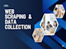 do professional web scraping and data scraping services