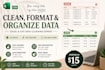 clean, format and organize your excel or CSV data accurately