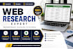 do manual web research and data entry in excel