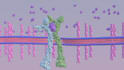 create professional biomedical 3d moa animation