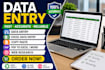 excel data entry expert