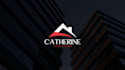 design professional logo and brand graphics