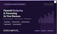 create a financial budget, forecast and business plan