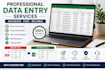 provide professional data entry services