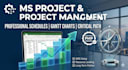 create an ms project schedule and project management