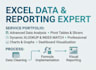 provide data, business, financial analytics service using excel