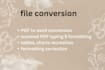 recreate PDF into professional word document