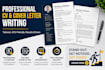 create professional resume and CV