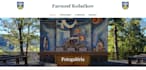 build a professional responsive website using HTML and CSS