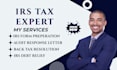 assist with irs audit help and back taxes resolution