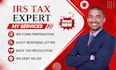 assist with irs audit help and back taxes resolution