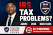 provide irs tax resolution, audit representation, and lien removal