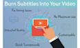 professional english subtitles and transcription  to your video