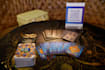 deliver an intuitive tarot reading with clear answers