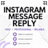 reply to your instagram messages professionally