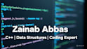 provide professional c plus plus programming and script solutions