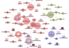 create 80 pr4 to pr9 web 2 profile dofollw backlinks,submit them to 20 rss feeds and index them