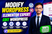 modify wordpress or edit wordpress as your elementor expert