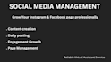 manage your social media accounts professionally