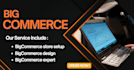 design a professional bigcommerce store that converts
