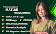 do matlab simulink and matlab programming , matlab task for you