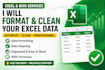 format and clean your excel data professionally