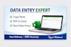 do accurate data entry, copy paste , excel work