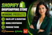 set up shopify droshipping store