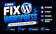 fix wordpress issues, errors, bugs and critical errors fast, redesign wordpress