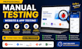 do professional manual website testing and bug reporting