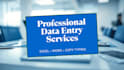 do data entry, copy typing and excel spreadsheet work