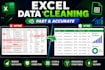 clean, format, and organize excel data professionally