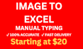do fast manual typing from image PDF to excel or word