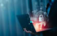 provide professional cybersecurity services and web security testing